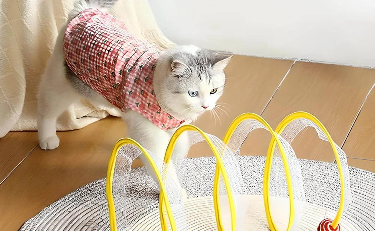 Cat Entertainment Tunnel Toy