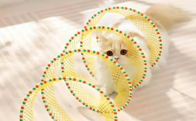 Cat Entertainment Tunnel Toy