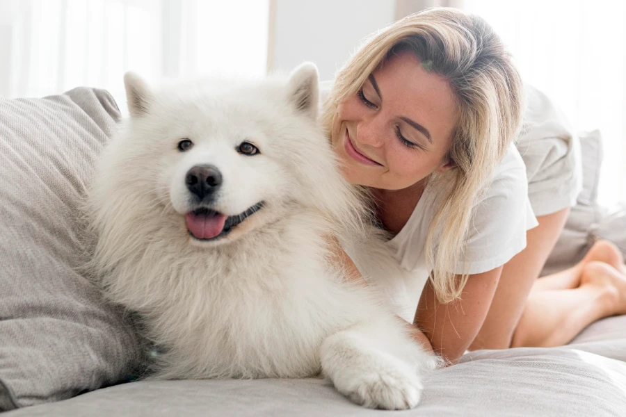 Gentle Pet Grooming Mitt